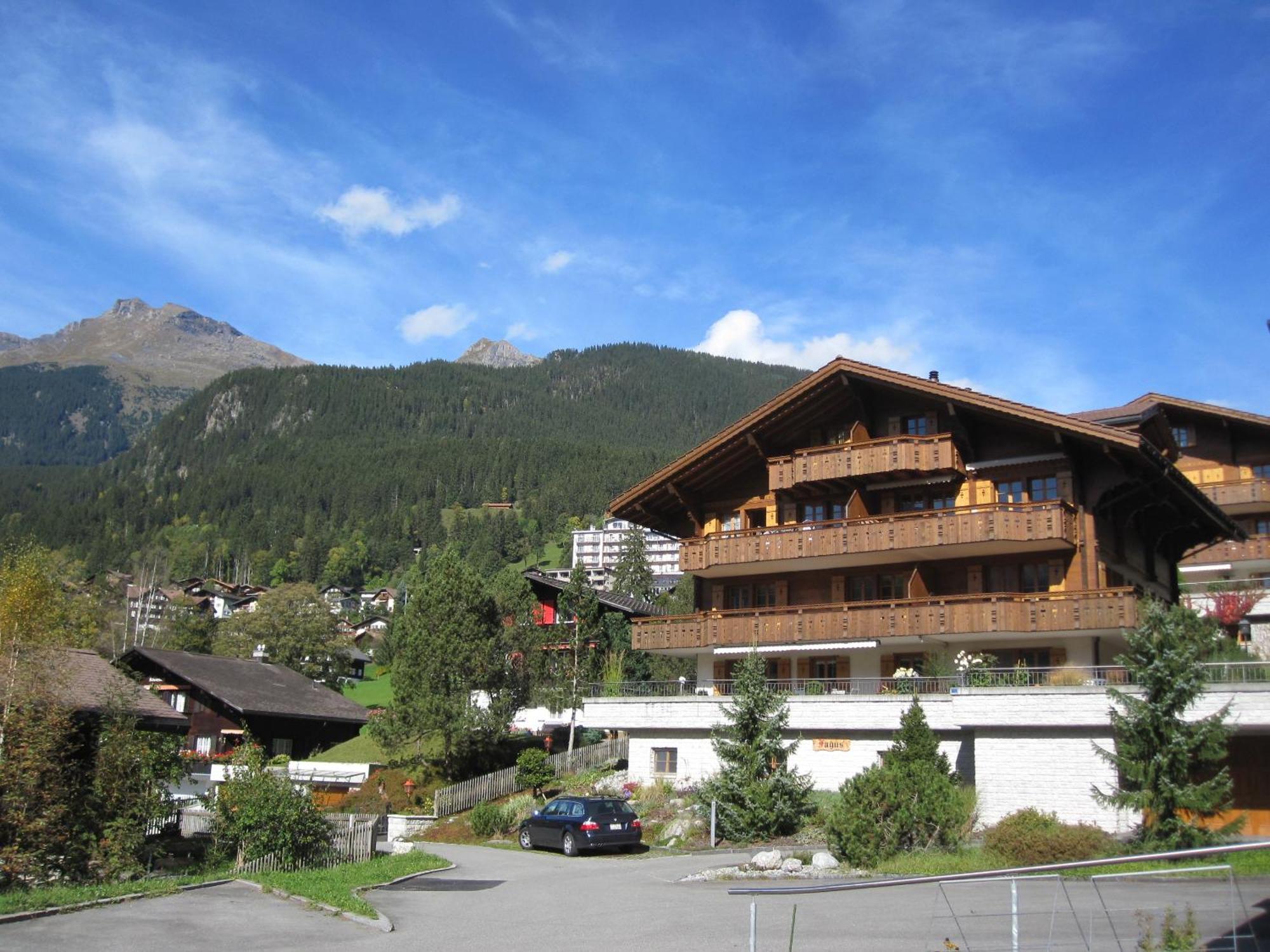Mom - Alpine Boutique Apartments, Chalet Fagus, Terrace Studio Grindelwald Exterior photo